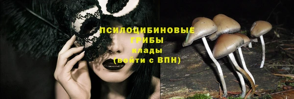 apvp Абинск