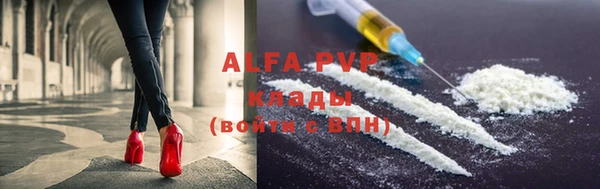 хмурый Абаза