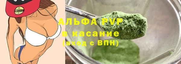хмурый Абаза