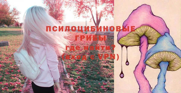 apvp Абинск
