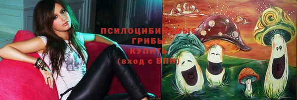 хмурый Абаза