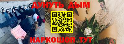 трава Новодвинск