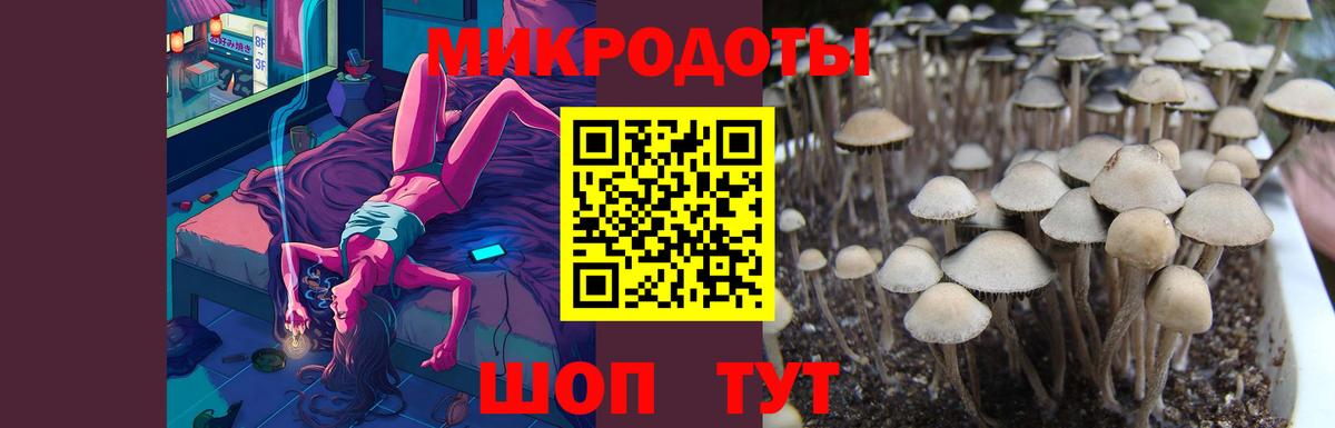Галлюциногенные грибы GOLDEN TEACHER  Вход с VPN  Галлюциногенные грибы ЛСД  Юрга 