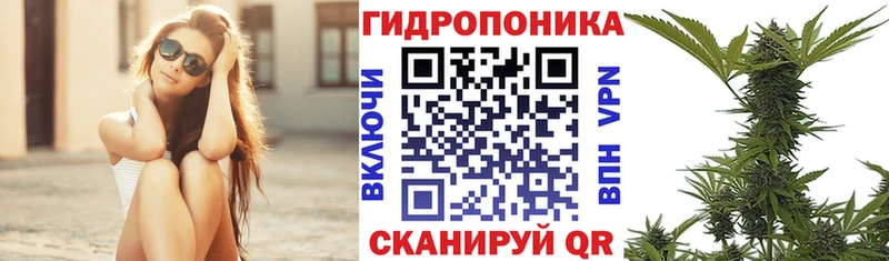 закладка Юрга Бошки Шишки сатива